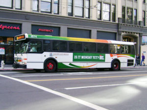 GGT bus 1.jpg