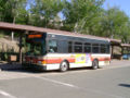 County Connection bus.jpg
